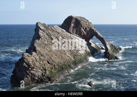 Bow Fiddle Rock a Portknockie, murene, Aberdeenshire, Scozia Foto Stock
