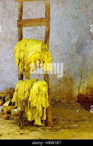 Il cuoio tinto giallo si asciuga su una scala nella vecchia conceria medina, Chouara, a Fez, Marocco. Foto Stock