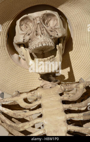 Close up di scheletro cranio ridere in ampia colmato hat Foto Stock