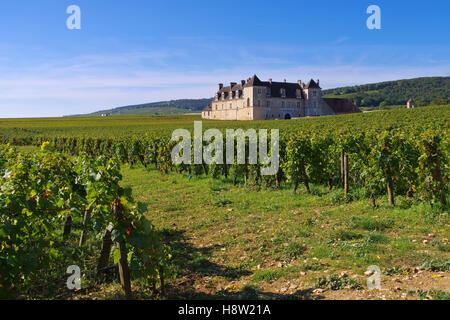 Chateau du Clos de Vougeot, Burgund - Chateau du Clos de Vougeot, Cote d'Or, Borgogna in Francia Foto Stock