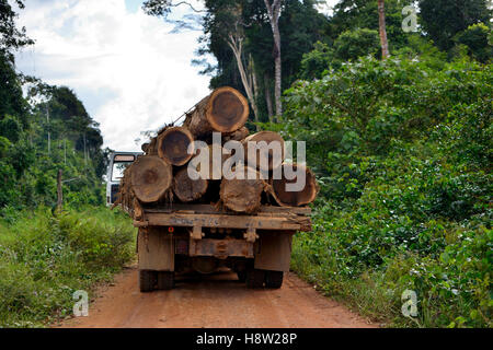 I carrelli caricati con tronchi di alberi, il disboscamento illegale, la foresta pluviale amazzonica di legname, Trairão distretto, Pará, Brasile Foto Stock