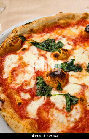 Pizza Napoletana margherita con mozzarella di bufala, famosa da Napoli, Campania, Italia, Europa Foto Stock