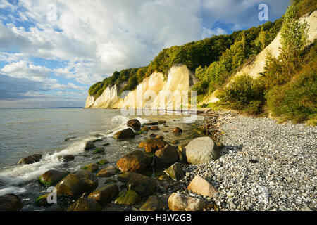 Chalk cliffs, massi sulla spiaggia, Jasmund National Park, Rügen, Meclemburgo-Pomerania, Germania Foto Stock