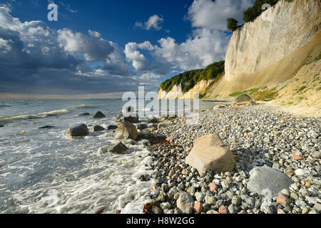 Chalk cliffs nella luce del mattino, massi sulla spiaggia, Jasmund National Park, Rügen, Meclemburgo-Pomerania, Germania Foto Stock