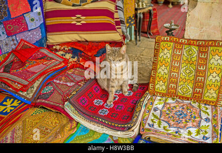 Il puss siede sul ricamato a mano federe nel mercato Aftimos stallo, Gerusalemme, Israele. Foto Stock