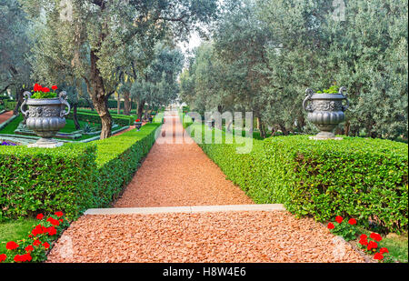 Il sentiero rosso a Bahai giardino circondato da cespugli tagliati e vasi con fiori, Haifa, Israele. Foto Stock