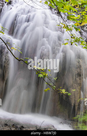 Cascata en Forêt de Saint Pons, BDR, Francia 13 Foto Stock