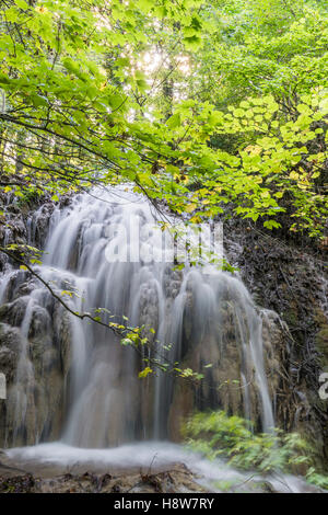 Cascata en Forêt de Saint Pons, BDR, Francia 13 Foto Stock