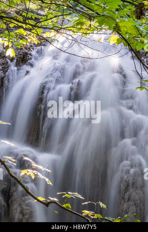 Cascata en Forêt de Saint Pons, BDR, Francia 13 Foto Stock