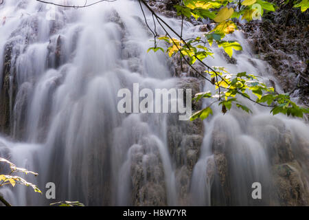 Cascata en Forêt de Saint Pons, BDR, Francia 13 Foto Stock