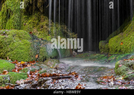 Cascata en Forêt de Saint Pons, BDR, Francia 13 Foto Stock