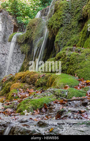 Cascata en Forêt de Saint Pons, BDR, Francia 13 Foto Stock