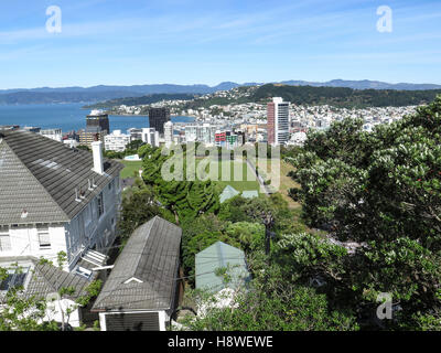 Vista di Wellington dal dominio osservatorio, Welington, Nuova Zelanda Foto Stock