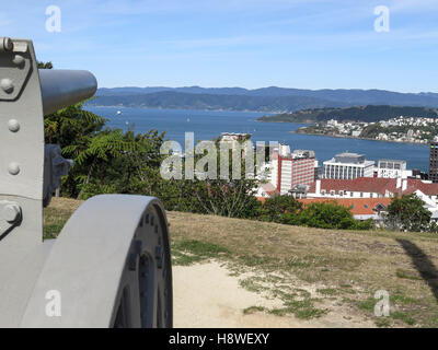 Vista di Wellington dal dominio Osservatorio con la Fried Krupp AG gun Foto Stock