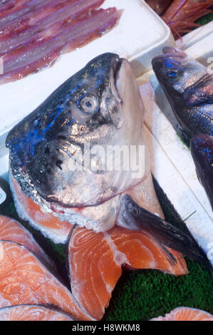 Testa di pesce in filetti di salmone in bianco i contenitori in polistirolo espanso sul display nel mercato del pesce. Foto Stock