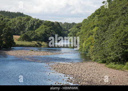 Il Fiume Tees Barnard Castle County Durham Inghilterra in estate Foto Stock