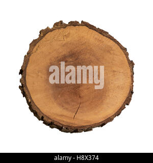 Immagine di un isolato fetta di legno dal tronco di albero. Foto Stock