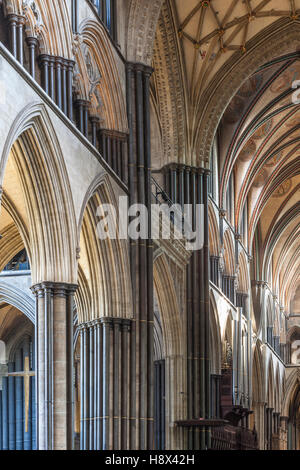 La magnifica navata nella cattedrale di Salisbury, Wiltshire. Foto Stock