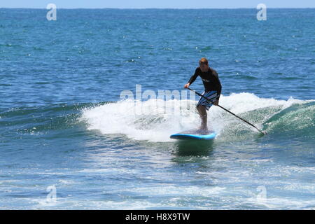 Un uomo trentenne surf stand up paddleboard (SUP) a Moffat Beach sulla Costa del Sole nel Queensland, in Australia. Foto Stock