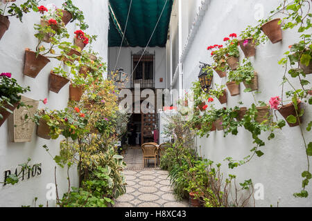 Cortile decorato con gerani, Cordoba, Spagna Foto Stock