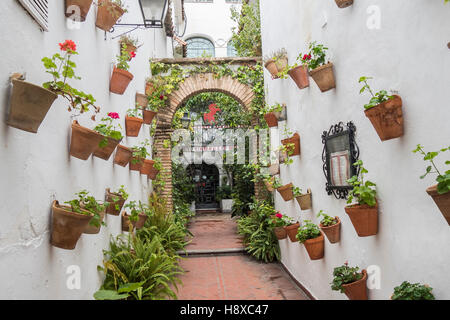 Cortile decorato con gerani, Cordoba, Spagna Foto Stock