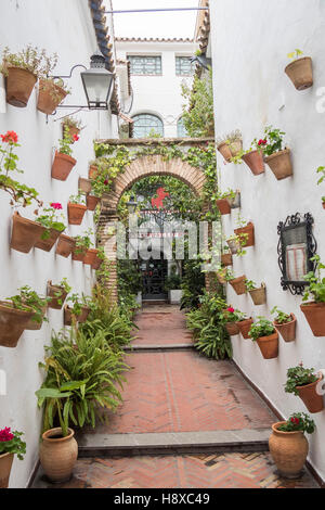 Cortile decorato con gerani, Cordoba, Spagna Foto Stock