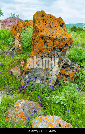 Il grande masso coperto con il colore giallo brillante lichen, Saro, Georgia. Foto Stock