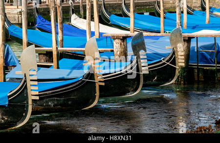 Gondole ancorate al mattino presto. Foto Stock
