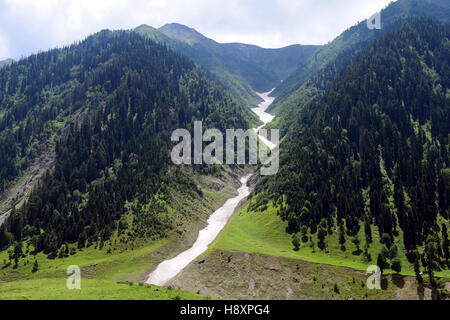 Snow congelati Himalaya fiume nella valle del Kashmir a Sonamarg montagna himalayana con alberi forestali panorama Kashmir India Foto Stock