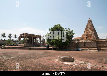 Nadi mandapa sulla sinistra e il tempio di Brihadisvara, Tanjore, Tamil Nadu, India. Foto Stock