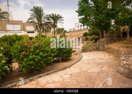 Stone sentiero attraverso il cortile con alberi di palma, cespugli e fiori Foto Stock