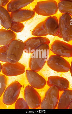 Torrone di marrone o nougatine tutta con mandorle tostate Foto Stock