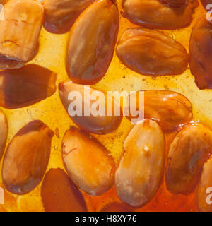 Torrone di marrone o nougatine tutta con mandorle tostate Foto Stock