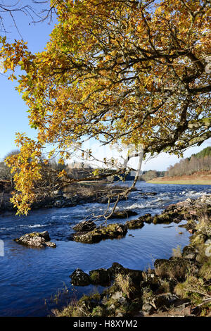 Autunno sul fiume Dee a ponte Potarch in Royal Deeside, Aberdeenshire in Scozia Foto Stock