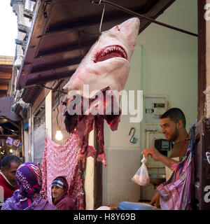 Il commercio del pesce in modo diverso da quello che conosciamo. Scossa vende: Fishshop in Fès pubblicità con una testa di squalo su un gancio. Sotto la testa di uno squalo morto come una stalla-decorazione, il venditore di pesce dà un sacchetto di plastica di cibo Foto Stock