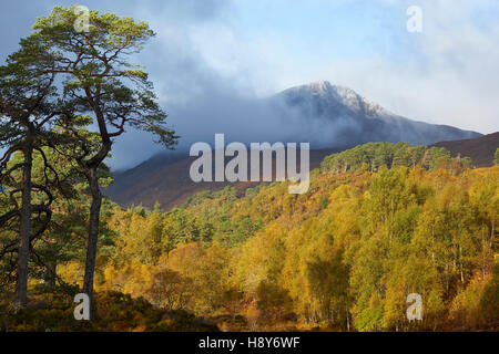 Sgurr na Lapaich, Glen Affric, Highland, Scozia in autunno. Foto Stock