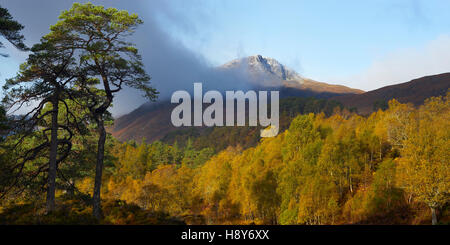 Sgurr na Lapaich, Glen Affric, Highland, Scozia in autunno. Vista panoramica Foto Stock