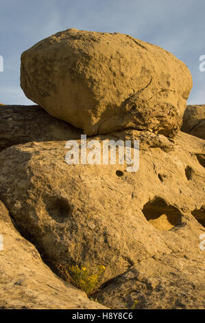 Sferiche di roccia arenaria sulla parte superiore di maggiore formazione di arenaria che mostra i fori e fessure da erosione di acqua e un tono dorato. Foto Stock