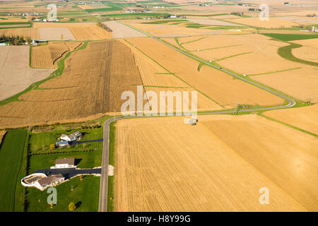 Fotografia aerea del raccolto di mais nelle zone rurali del sud-ovest, Wisconsin. Foto Stock