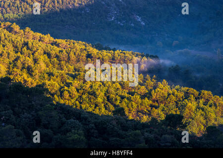 La Vallée de Nans les Pins Var Francia 83 Foto Stock