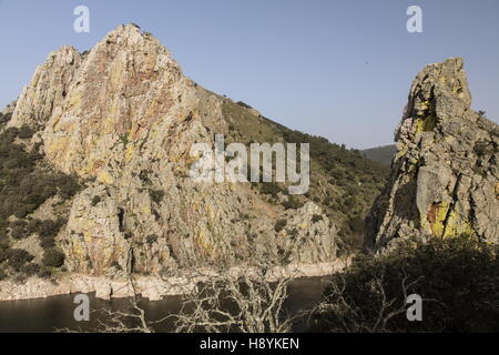Penafalcon cliff, Monfrague parco naturale, Estremadura, Spagna - grande avvoltoio, e altri uccelli, sito di riproduzione. Foto Stock