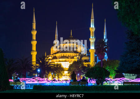 La Moschea Blu (Sultan Ahmed) di notte Foto Stock