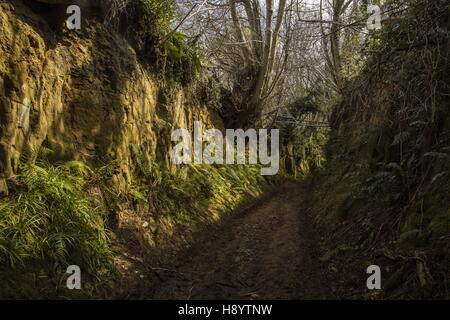Antica Sunken Lane - Inferno Lane, da nord a Chideock Symondsbury, West Dorset. Foto Stock