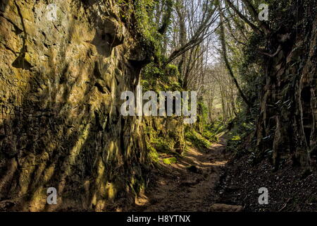 Antica Sunken Lane - Inferno Lane, da nord a Chideock Symondsbury, West Dorset. Foto Stock
