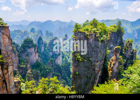 Vista su alte colonne di arenaria e le formazioni in Zhangjiajie national park, Hunan, Cina Foto Stock