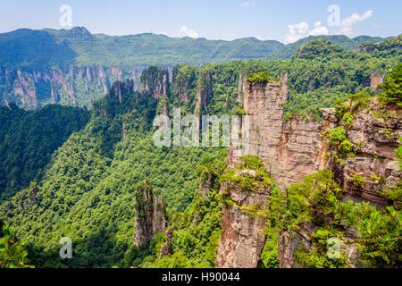 Vista su alte colonne di arenaria e le formazioni in Zhangjiajie national park, Hunan, Cina Foto Stock