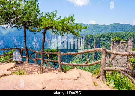 Vista dal punto di vista su colonne di arenaria e le formazioni in Zhangjiajie national park, Hunan, Cina Foto Stock