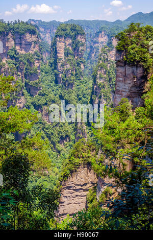 Vista su alte colonne di arenaria e le formazioni in Zhangjiajie national park, Hunan, Cina Foto Stock