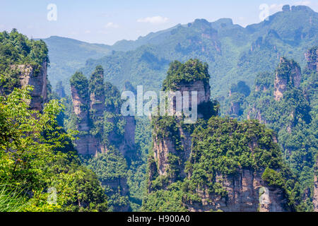 Vista su alte colonne di arenaria e le formazioni in Zhangjiajie national park, Hunan, Cina Foto Stock