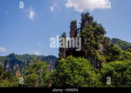 Vista su alte colonne di arenaria e le formazioni in Zhangjiajie national park, Hunan, Cina Foto Stock